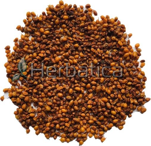 Hippophae fructus
