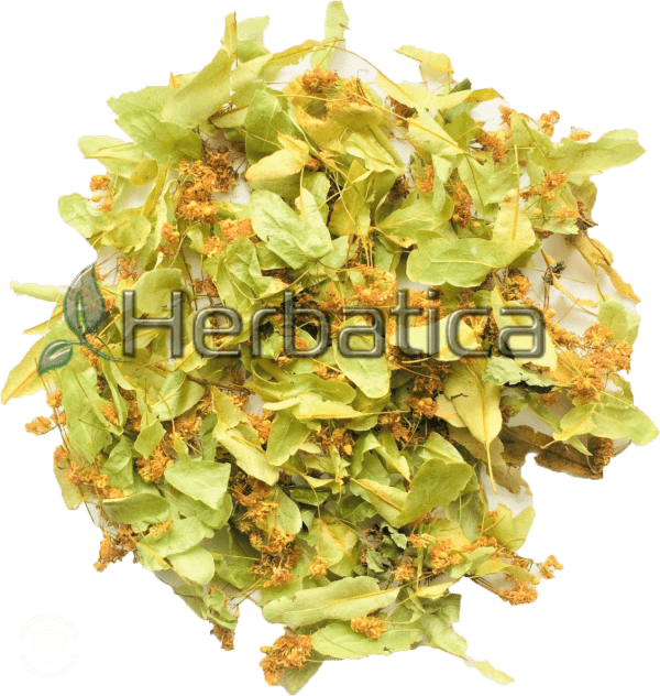 Tilia flowers