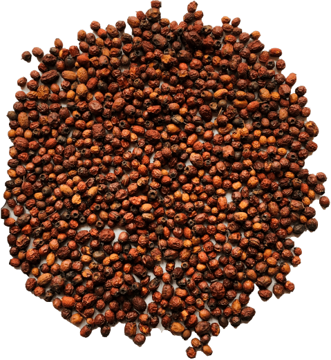 Crataegi fructus
